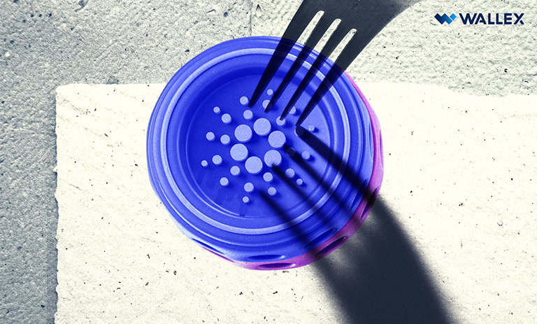 هارد فورک چانگ کاردانو چیست؟ پیش به سوی حاکمیت غیرمتمرکز کاردانو!