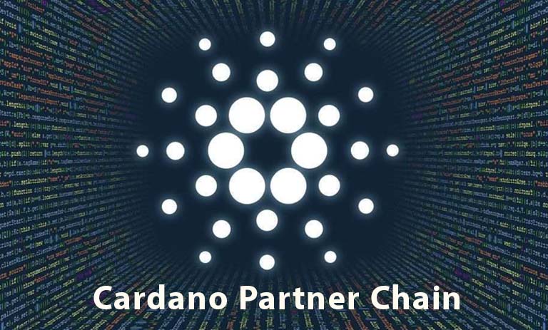 معرفی پارتنر چین کاردانو؛ فریم ورک جدید با بهره وری بالا