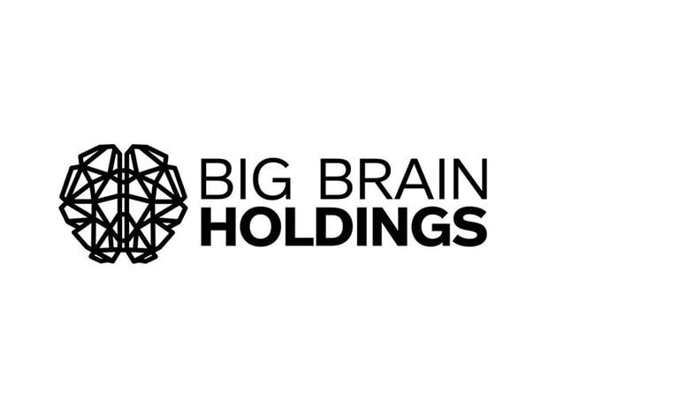 معرفی شرکت Big Brain Holdings و سبد سرمایه‌گذاری آن