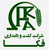 شفاف سازی تاثیرات حذف ارز ترجیحی بر عملکرد زفکا