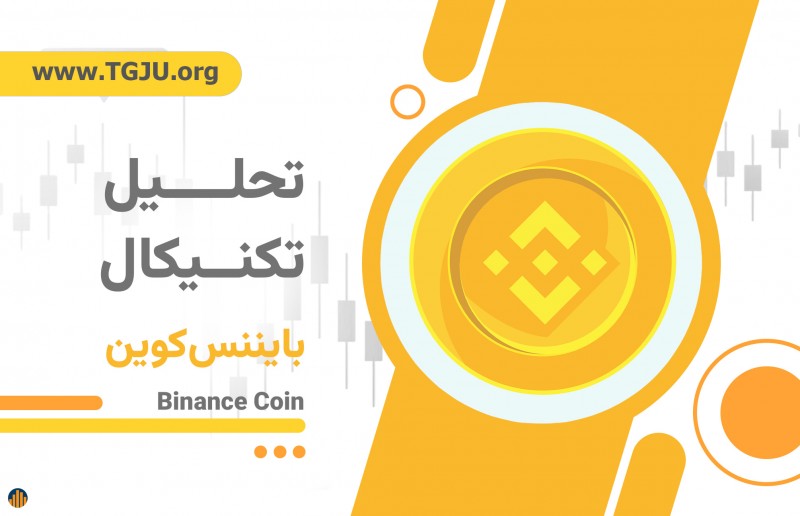 نمای کلی بازار BNB؛ وضعیت فعلی و جایگاه در بازار
