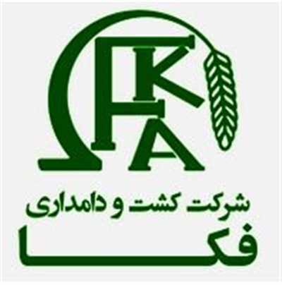 شفاف سازی تاثیرات حذف ارز ترجیحی بر عملکرد زفکا