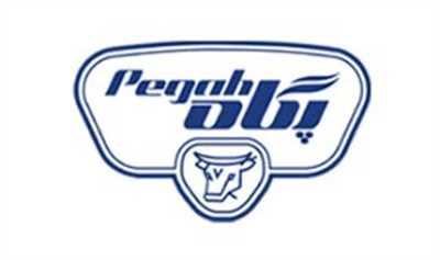 توضیحات غشان درباره تاثیر حذف ارز ترجیحی بر نرخ محصولات